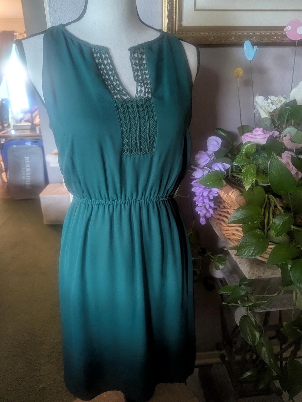 41 Hawthorn Women's Emerald Green Sleeveless Knit-Trim Dress.